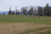 DSC_0403 DSC_0403